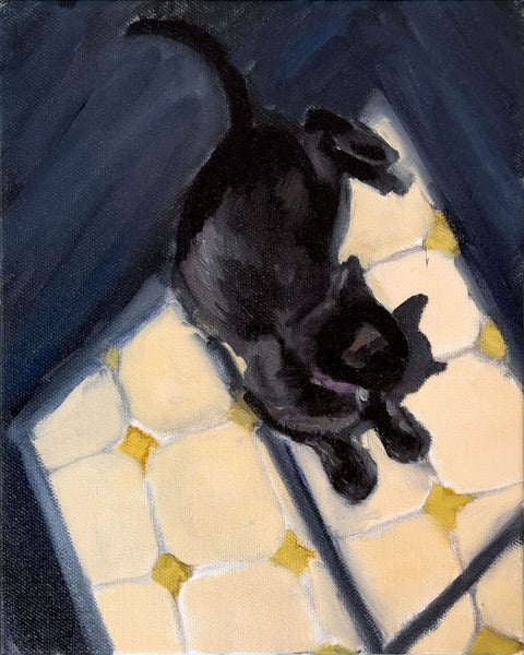 Tlg On The Kitchen Floor